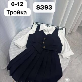 Тройка S393 школа