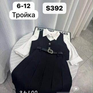 Тройка S392 школа